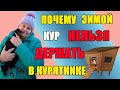 Почему зимой кур НЕЛЬЗЯ держать в курятнике.