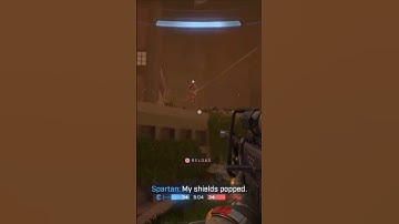 Killing Spree! #halo #haloinfinite #killingspree