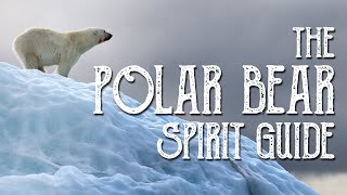 Famous Polar Bear Spirit Guide - Ask the Spirit Guides Oracle, Totem Animal, Power Animal, Magical Crafting Profile
