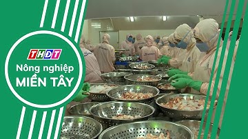 Xuất khẩu tôm tăng trưởng mạnh nhưng có thể chững lại | Nông nghiệp Miền Tây