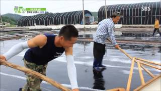 생방송 투데이 130801 #9(9)