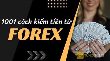 Kiếm Tiền Từ Forex Cho Người Mới: Hướng Dẫn Trading, Quản Lý Quỹ & Bán Tín Hiệu