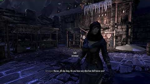 Windhelm Guards [Skyrim]