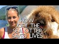 How A Sea Otter Saved 2020 | Joey the Sea Otter's 1st Birthday!