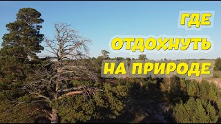 ГДЕ ОТДОХНУТЬ НА ПРИРОДЕ в АСТАНЕ