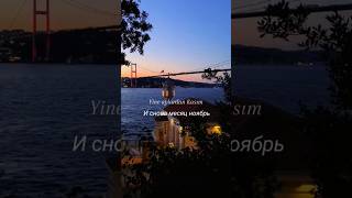 Yine Aylardan Kasım