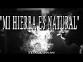 "Mi Hierba Es Natural" Reggae Rap ( Vendido/Sold)