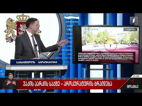 ვაკის პარკის საქმე - პროკურატურის ბრალდება