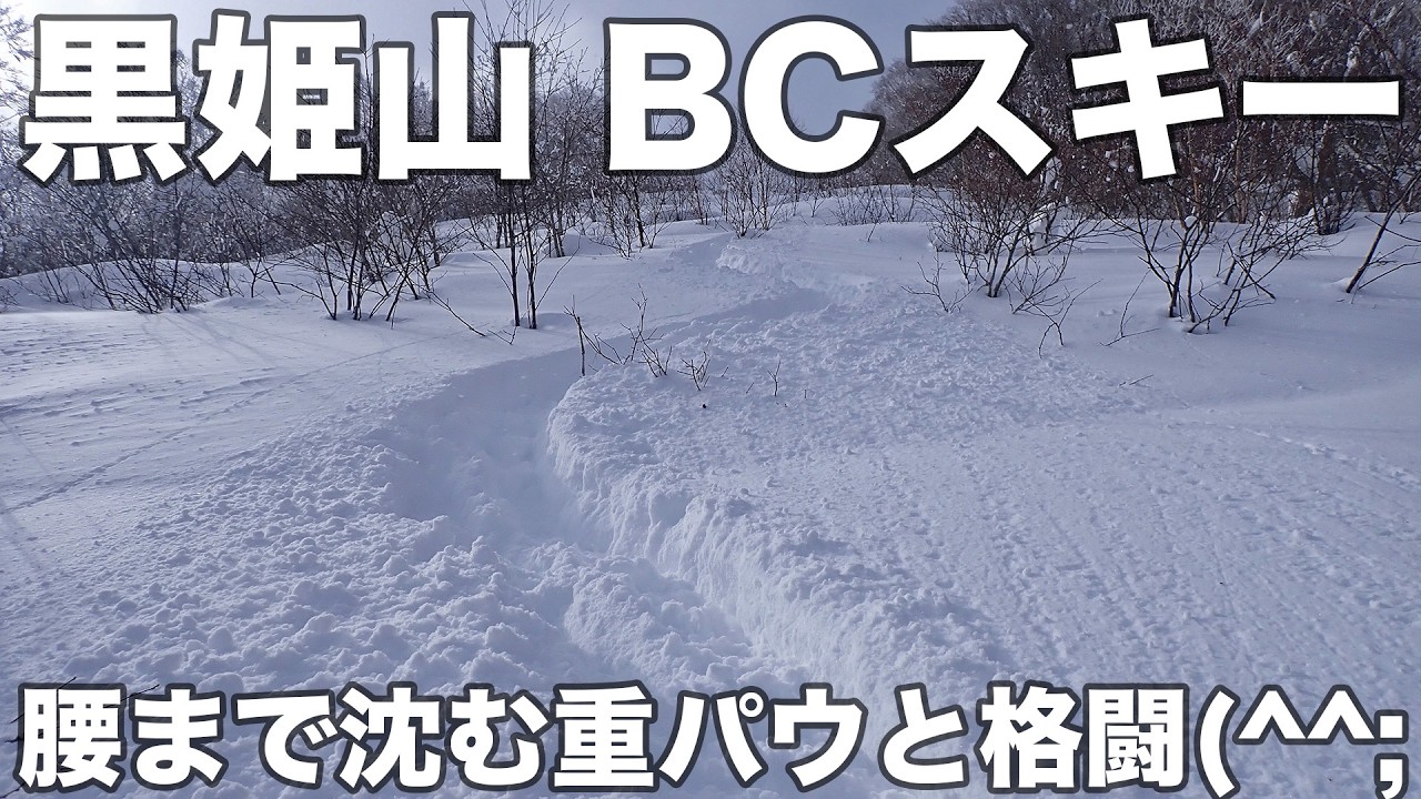 黒姫山 BCスキー 2026年2月9日 腰まで沈む重パウと格闘(^^;