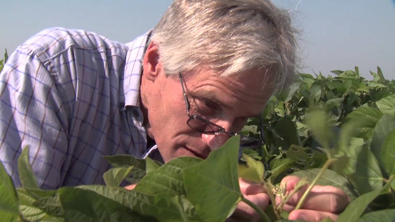 A Student�s Guide to Careers in Plant Breeding YouTube