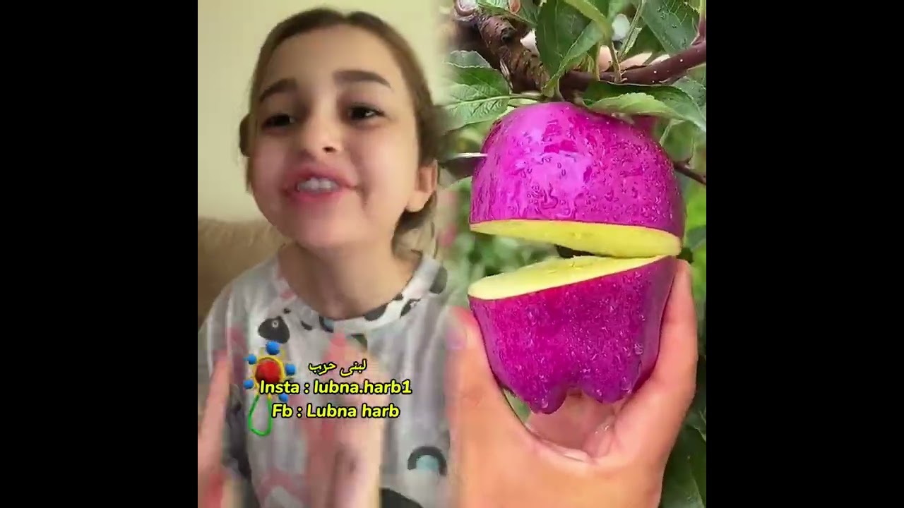 🤣👌👌👌2026 pov Must-Watch Crazy Clips Compilation #humor #fypシ #pov #fyp #foryou 😍😜