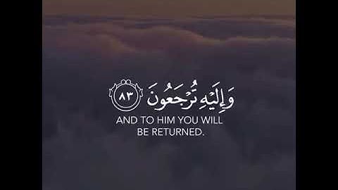 قرآن كريم بصوت القارئ ماهر المعيقلي تلاوة مطمئن ارح قلبك 💚🌿حالة واتس إسلامية /استوري انستغرام