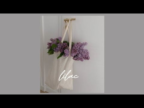 Bakr - сирень (speed up)
