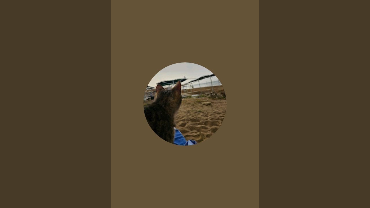 Воскресная болталка❤️