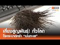 เสี่ยงสูญพันธ์! ทั่วโลกโรคระบาดคร่า &quot;เม่นทะเล&quot; l TNN ข่าวเช้า 08-06-2024