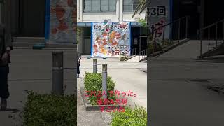 兵庫県の高校文化祭特集!クラス企画や文化部の発表を楽しもう