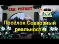 Славянск-на-Кубани. Поселок Совхозный. Центральная Усадьба Сад-Гиганта.