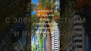 В Грузии лучшие счета за коммунальные услуги! За 60м2 54€, включая интернет и электричество. 2024г