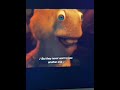 The only video I wanna see with this audio #shorts #funny #fyp