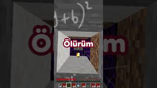 4,754 Iq Minecraft Oyuncusu