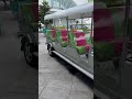 Thai Limo TukTuk Thailand TukTuk