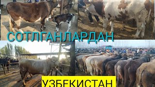 Узбекистан асака пайшанба мол бозори 2 кисими Бир куриб маза кулилар