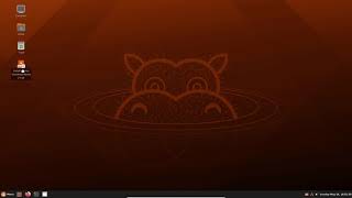 Installing Ubuntu Cinnamon.
