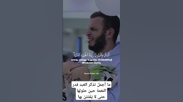 المال والبنون زينة الحياة الدنيا  | القارئ عبدالله مصطفى |  خشوع يقشعر له بدنك