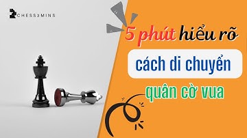 Hướng dẫn di chuyển quân cờ vua – Hiểu rõ trong 5 phút!