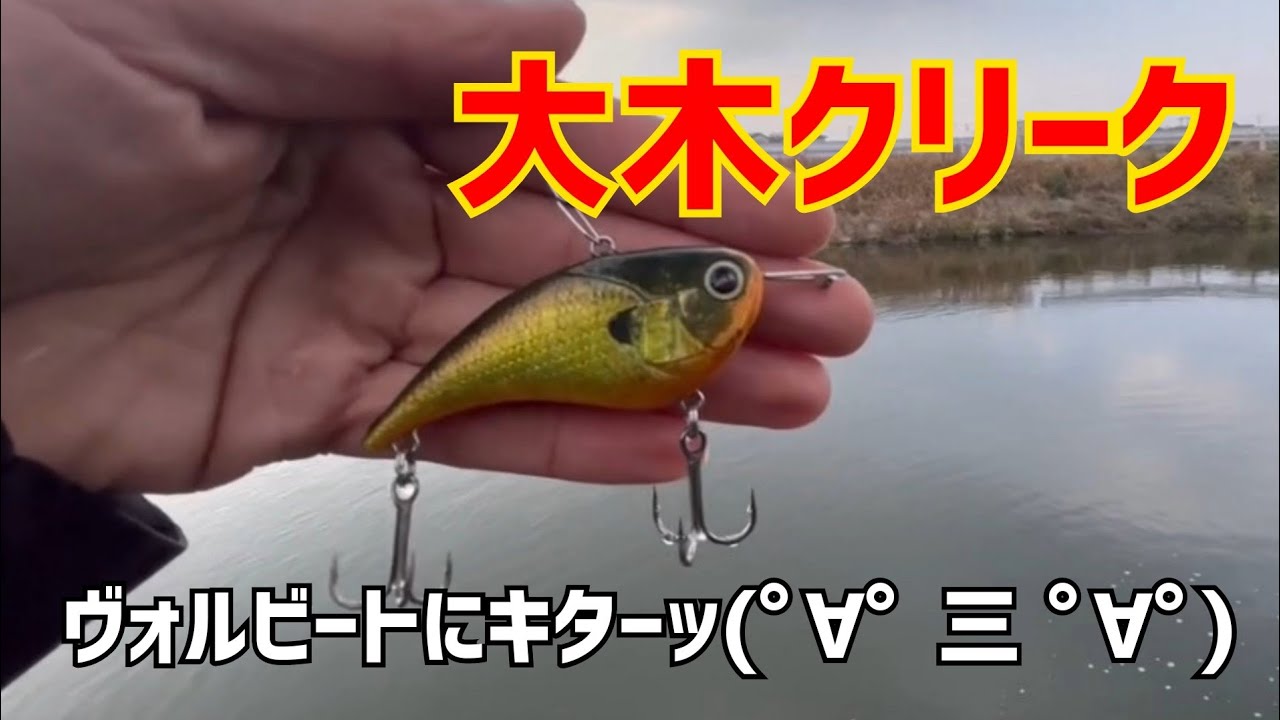 【バス釣り】釣れるとは聞いていたが、ホンマに食ってきたやないかーい😎福岡バス釣りトニー    #バス釣り #バスフィッシング #福岡バス釣り #クリーク