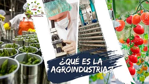 O que é um sistema agroindustrial?