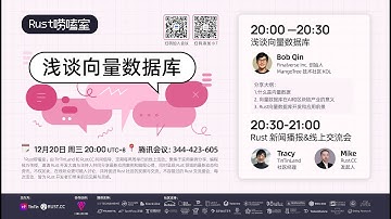 浅谈向量数据库｜Rust 技术分享