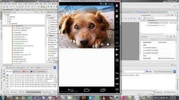 collapsing toolbar + slideshow (Barnaul Zoopark in development)