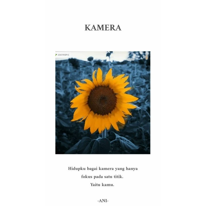 Video Literasi 15 detik (Deen Salam-Nisa Sabyan)