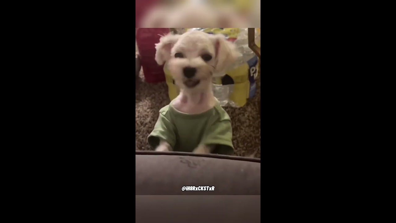 Hey Hi RxCKSTxR Comedy Voiceover 