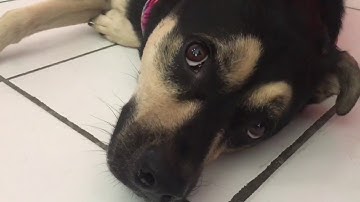 40 Essential Drum Rudiments: Single Stroke Four