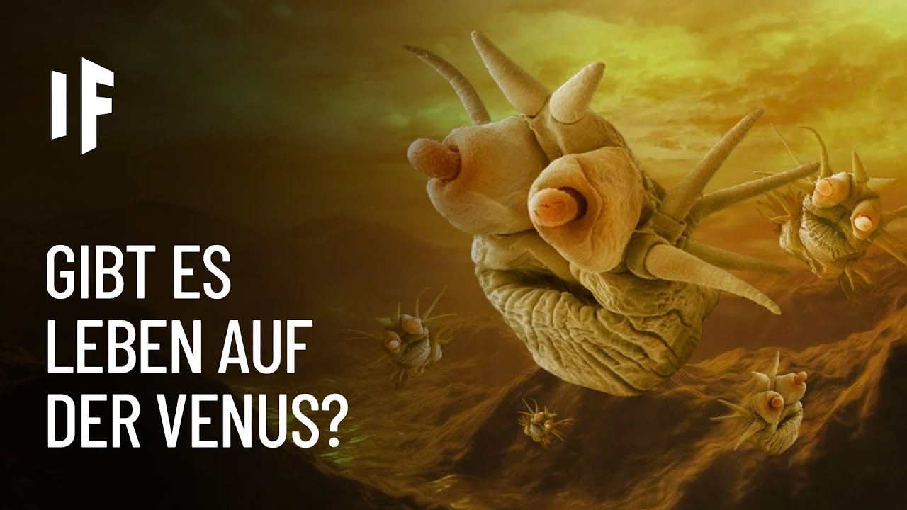 Was wäre, wenn es Leben auf der Venus gäbe?