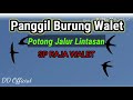 Jalur Lintasan Walet Sp Raja Sedot Jalurlintasan Sprajasedot Mp3 - Mp4 Download