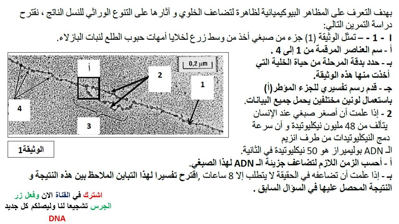 اختبار الفصل الثاني في العلوم الطبيعية للسنة الثانية ثانوي