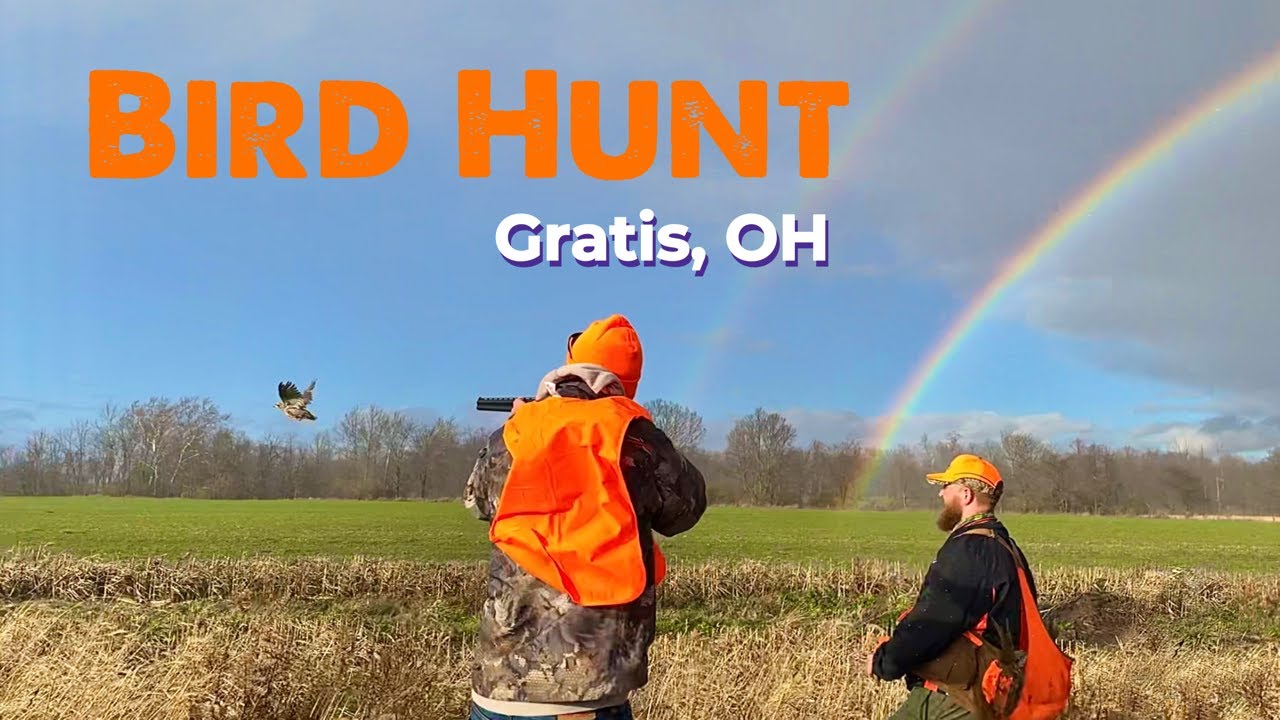 Trails Outdoors PrimeTime Gun Dogs Bird Hunt 2020 YouTube