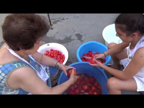 Βίντεο: Θεραπεία ντομάτας Southern Blight - Πώς να διορθώσετε τα φυτά ντομάτας με το Southern Blight