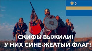 картинка: СКИФЫ ЖИВЫ ПО СЕЙ ДЕНЬ! У НИХ СИНЕ-ЖЕЛТЫЙ ФЛАГ И ОНИ НЕ ЛЮБЯТ ТИРАНОВ! Лекция историка А. Палия