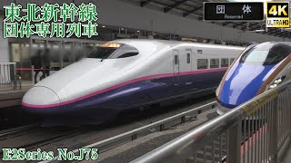 東北新幹線 団体専用列車 E2系J75編成 250425 JR Tohoku Shinkansen Tokyo Sta.