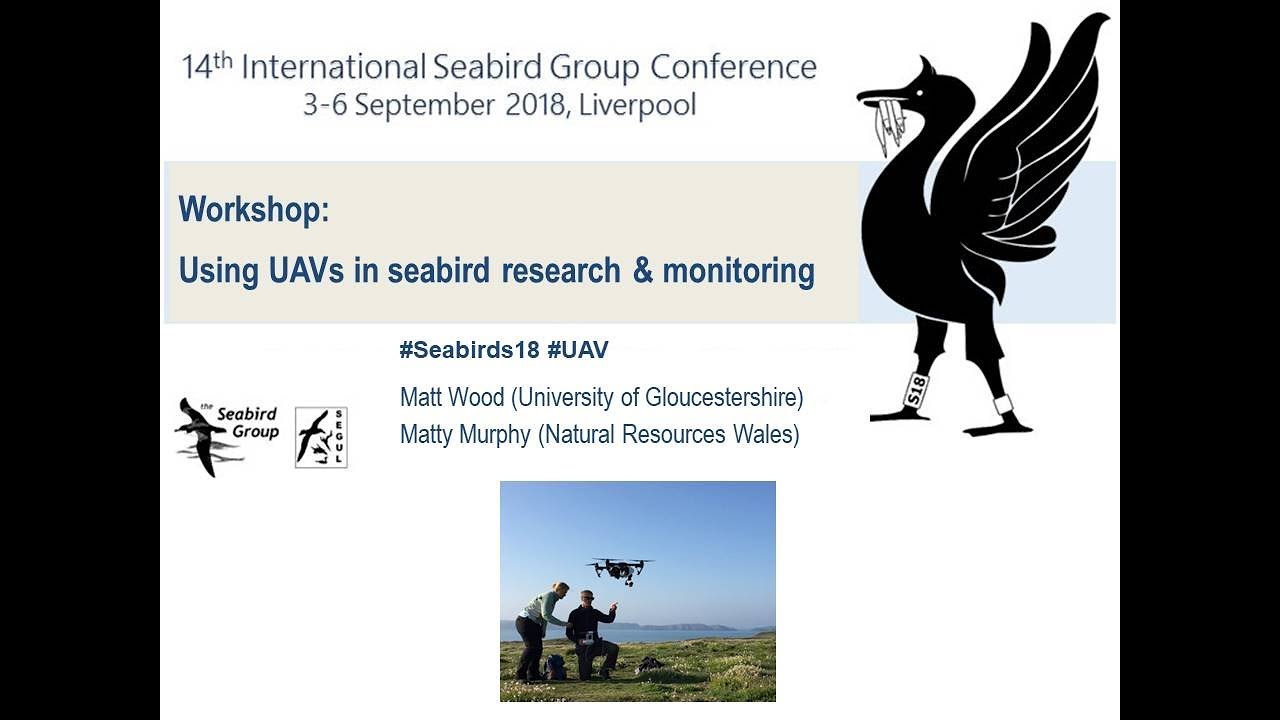 Using UAVs in Seabird Research and Monitoring (Part 2)