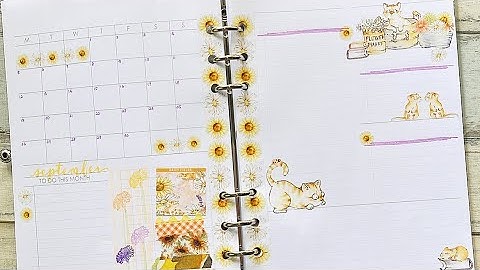 Cocoa Daisy Daisy Fields Printables Planner Setup