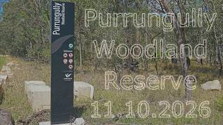 Purrungully Woodland   111026
