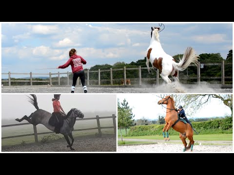 equestrian-fails-and-funny-moments-2019