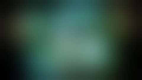 Flashback: The Quest Of Identity 2/2