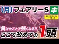 フェアリーステークス 2022 【予想】今や伝統の３歳牝馬重賞！負けたことで強くなったあのヒロインを改めて指名！