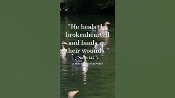 Psalm 147:3: "He heals the brokenhearted and...